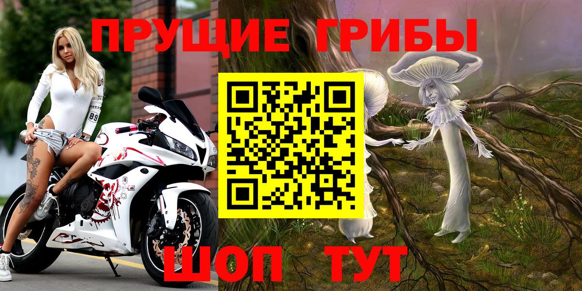Псилоцибиновые грибы прущие грибы Карталы